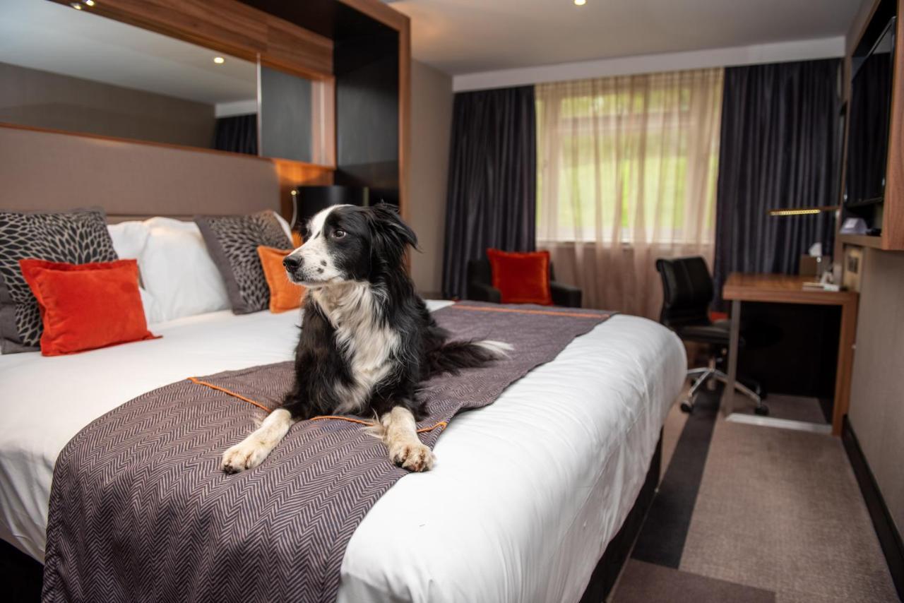 Crowne Plaza Gerrards Cross By Ihg Hotel Beaconsfield Bagian luar foto