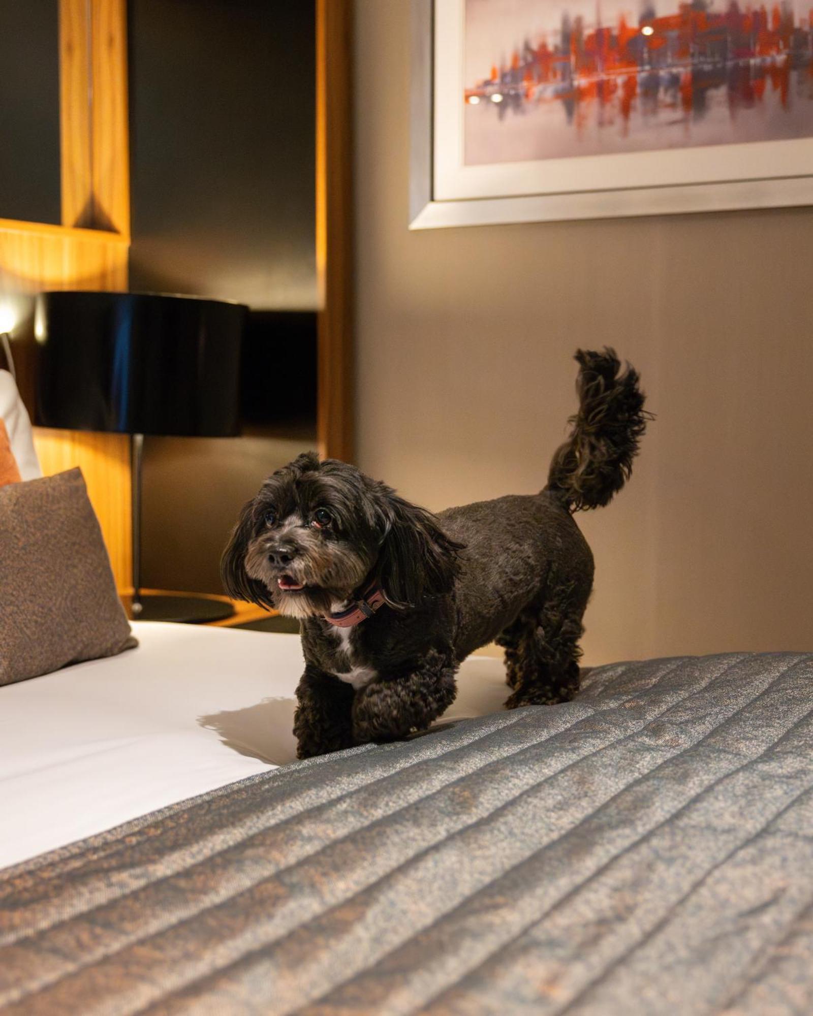 Crowne Plaza Gerrards Cross By Ihg Hotel Beaconsfield Bagian luar foto